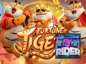 Guia install APK RIDER 777 BR